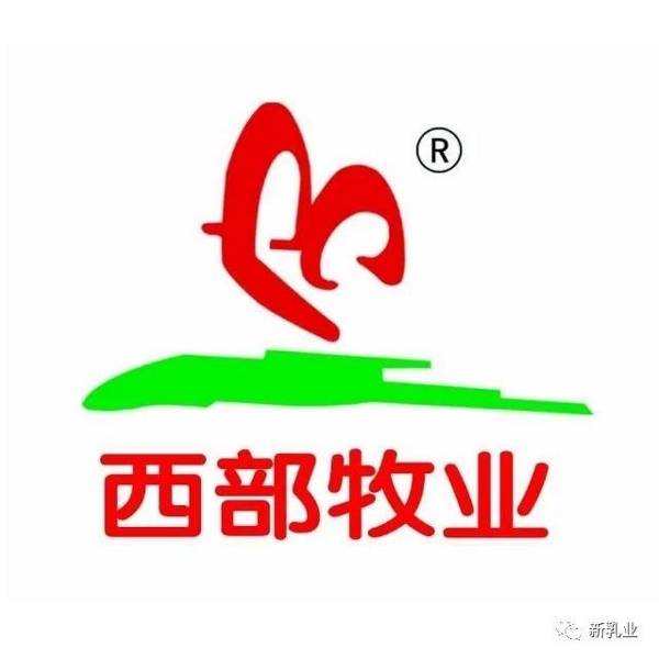 һ�ښ�������� 10 �ҹ�˾���@��������Ҫ�@ô����