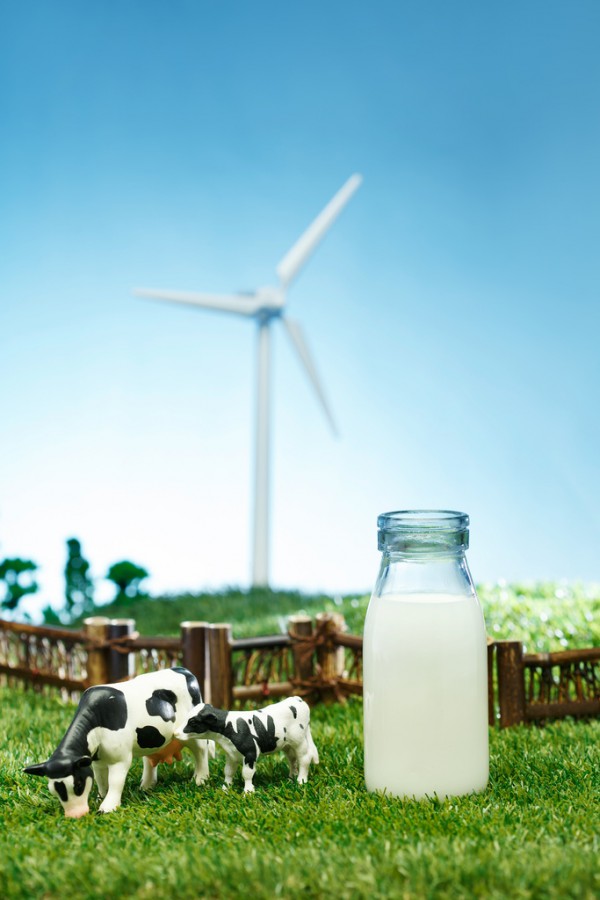 ��ٝ��׷�Ӿ�ٛ�l�����o�������Є����YԮ�����Юa�DȺ�w