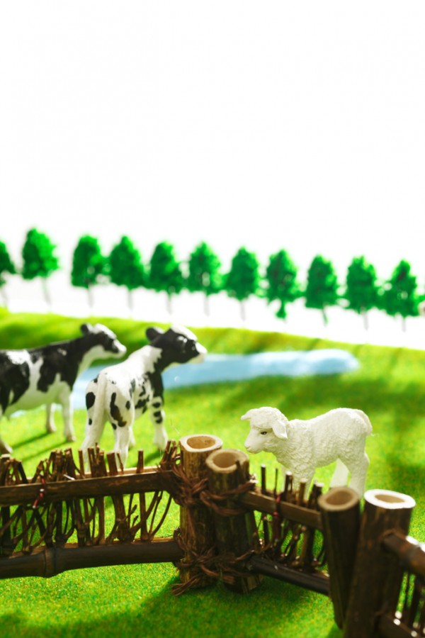 �̷ۏ����Ǵ��Ե��Cˇ�I�N��Ʒ�ơ�����(qu��n)�����l(f��)��(qi��ng)